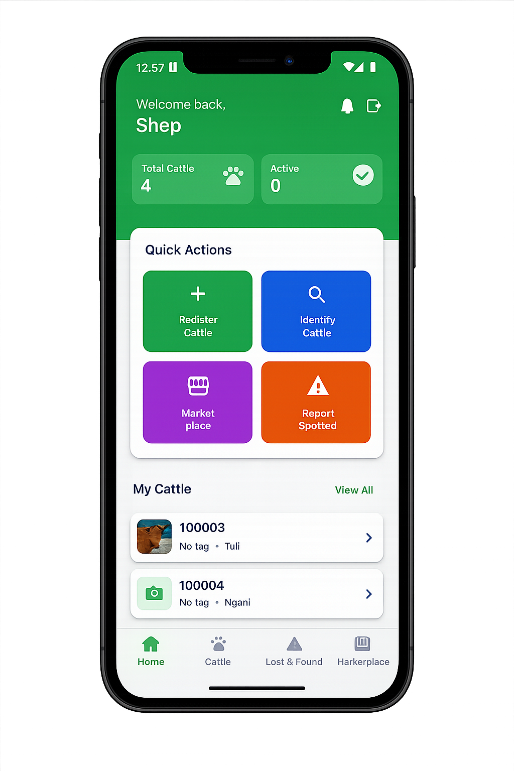Shepskey app on phone